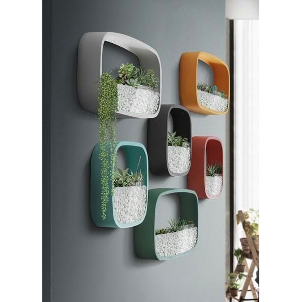 3D Printed Rounded Modular Wall Terrarium Planters